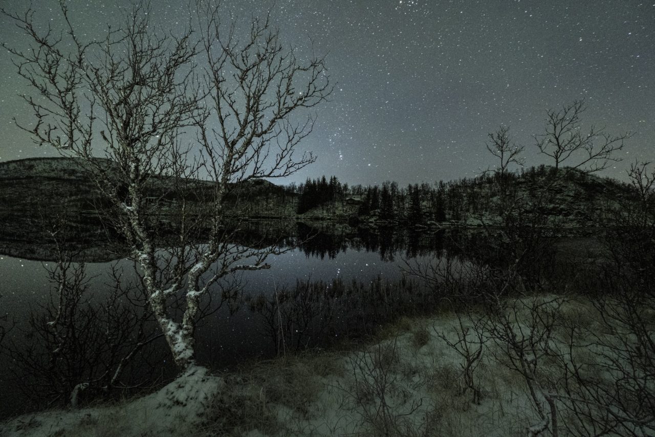 Maguy-Bovier-Photographe-Norvège-Vesteralen-Automne-Lac-Arbre-Etoiles-Nuit