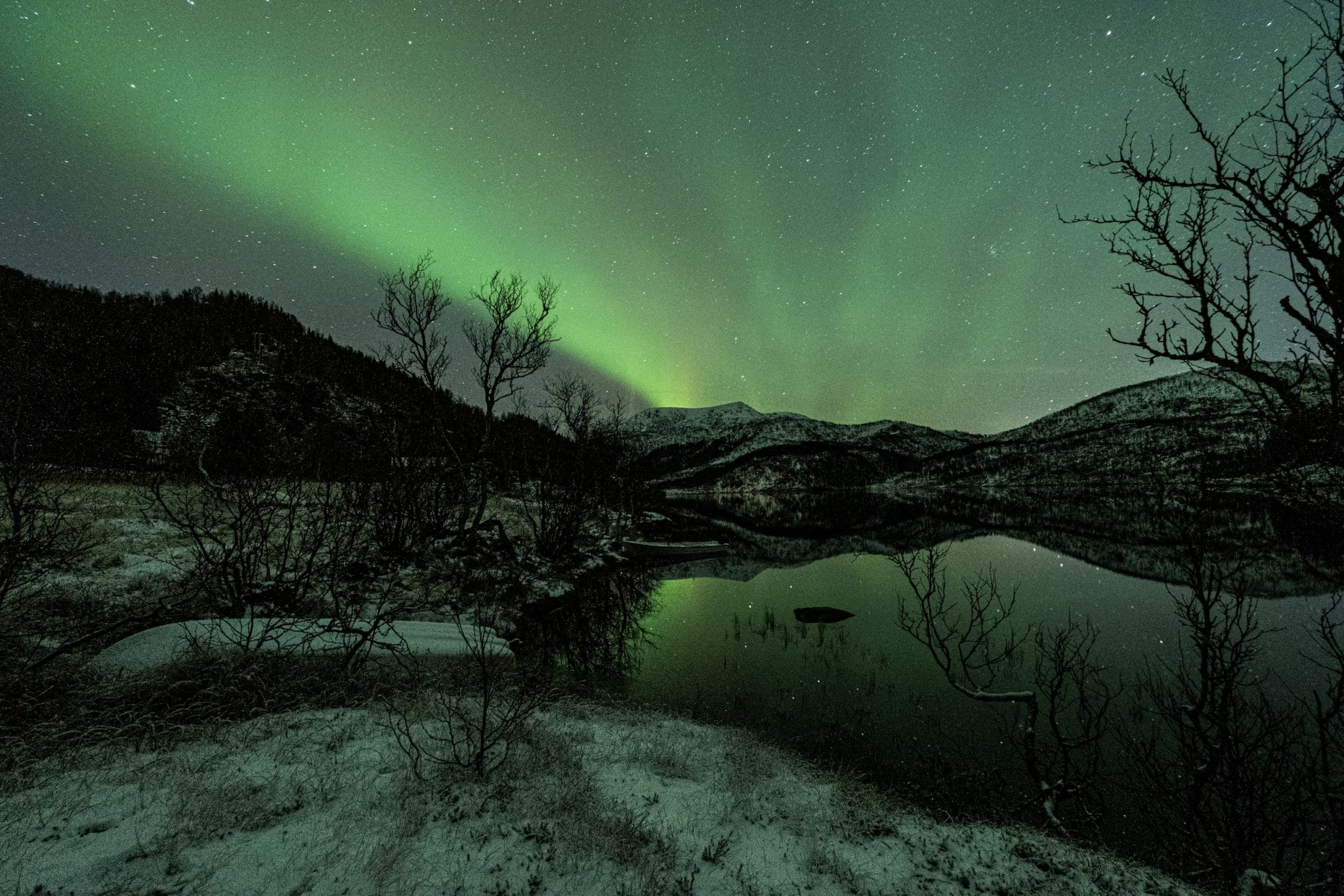 Maguy-Bovier-Photographe-Norvège-Vesteralen-Automne-Lac-Arbre-Etoiles-Nuit-Aurore-Boréale