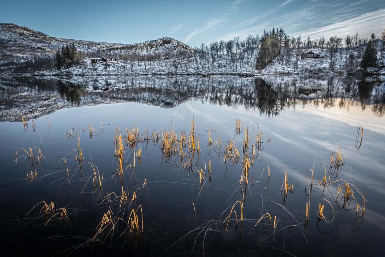 Maguy-Bovier-Photographe-Norvège-Vesteralen-Automne-Lac-Arbre-Roseaux-Reflet