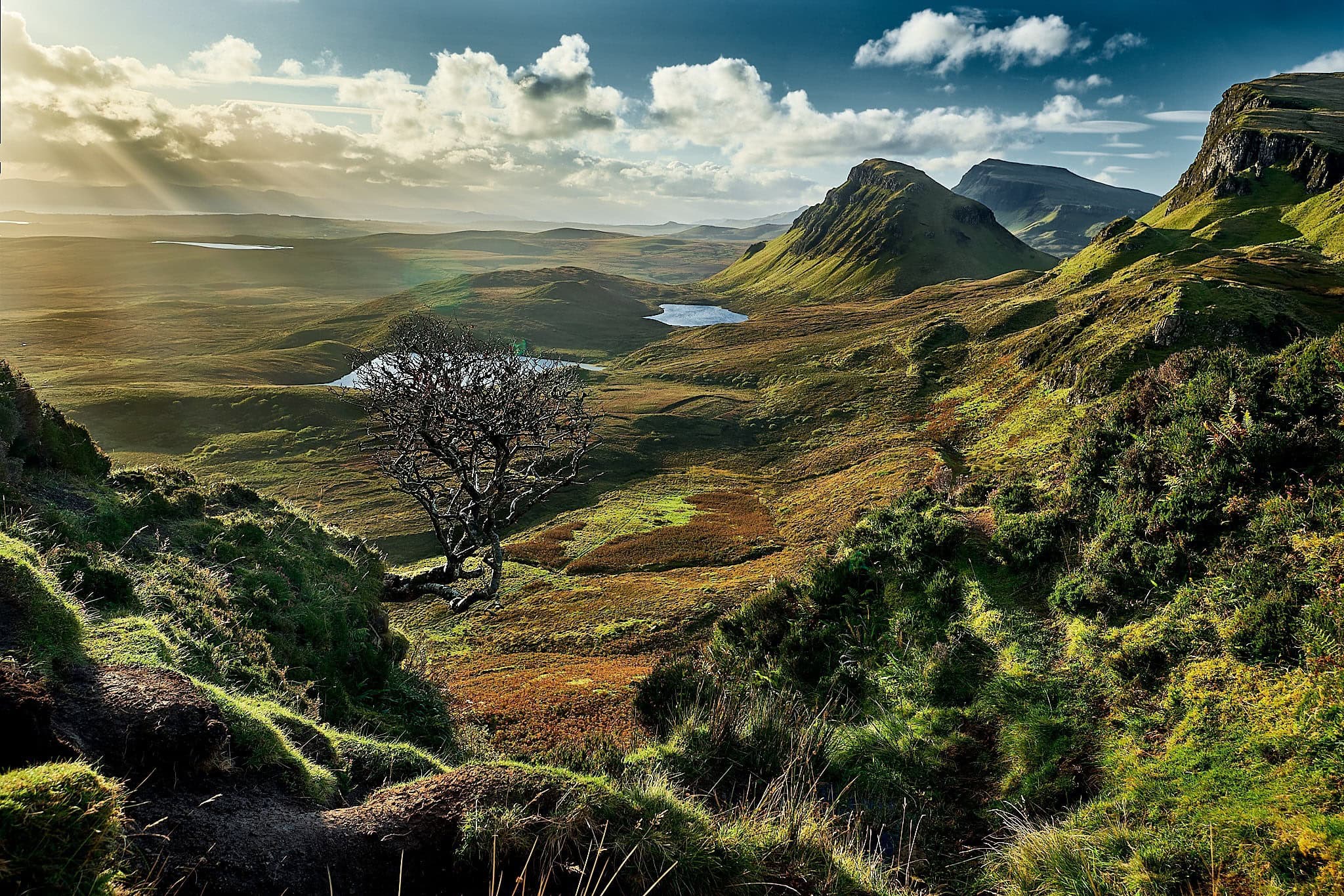 Kristian-Dill-Photographe-Paysage-Ecosse-Scotland-Highlands-Skye-Mer-Lac-Eau-Montagne-Arbre-Mort