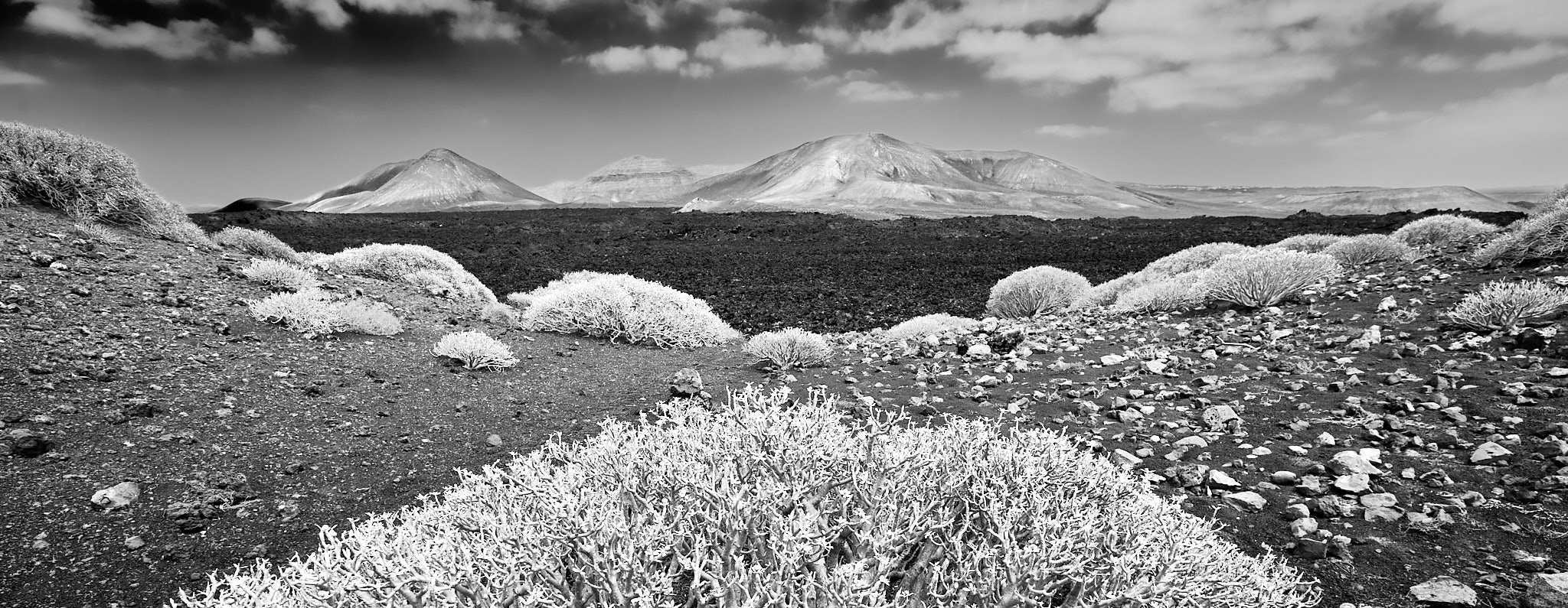 Kristian-Dill-Photographe-Paysage-Lanzarote-Arbuste-Montagne-Aride-Volcanique-3x1