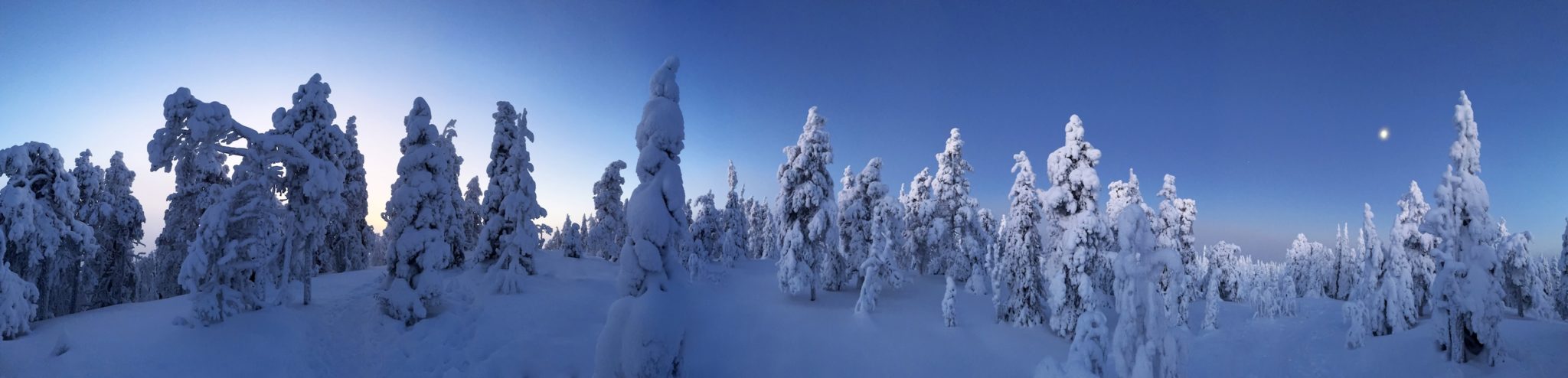 Kristian-Dill-Photographe-Paysage-Finlande-Laponie-Forêt-Epicéa-Neige-Arbre-Pleine-Lune-Candélabre-Froid-Panorama